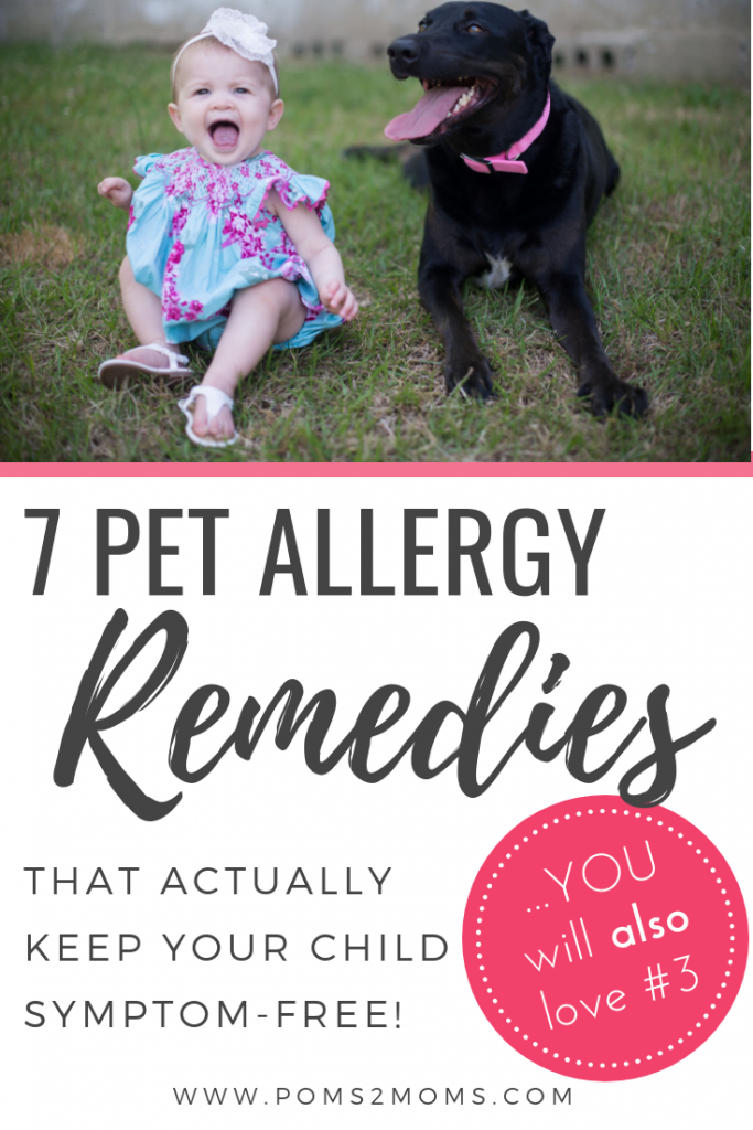 dog-allergy-remedies
