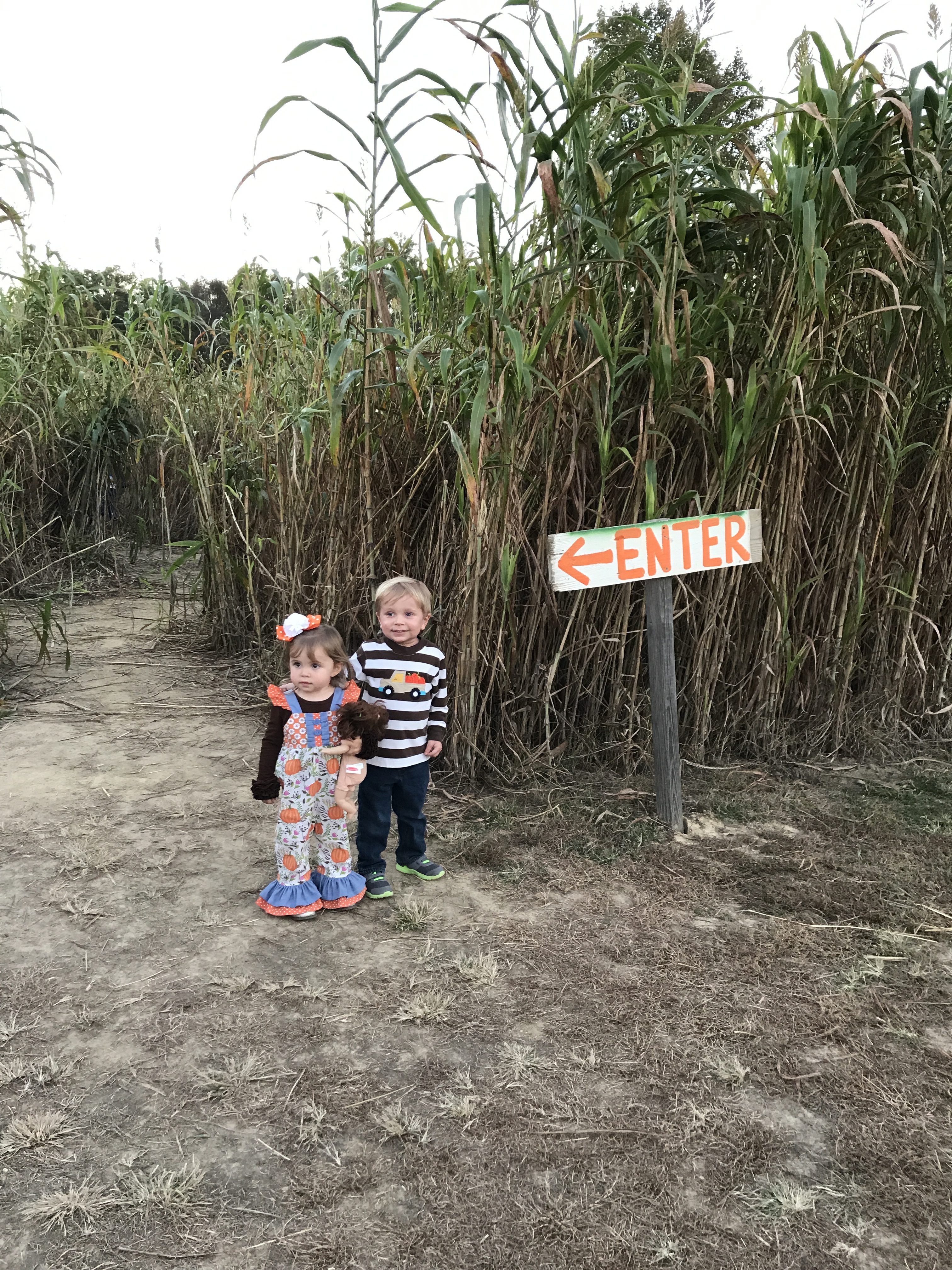 Kids-At-Corn-Maze