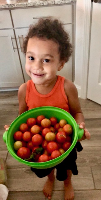 Child-Holding-Tomatoes