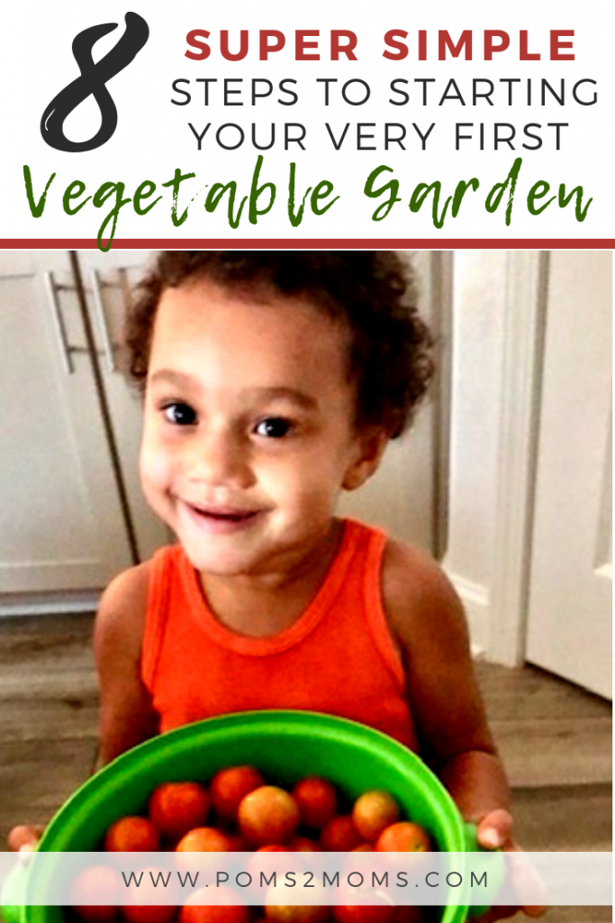 Start-Your-Own-Veggie-Garden